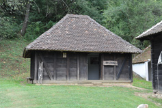  Вајат Вук и наука